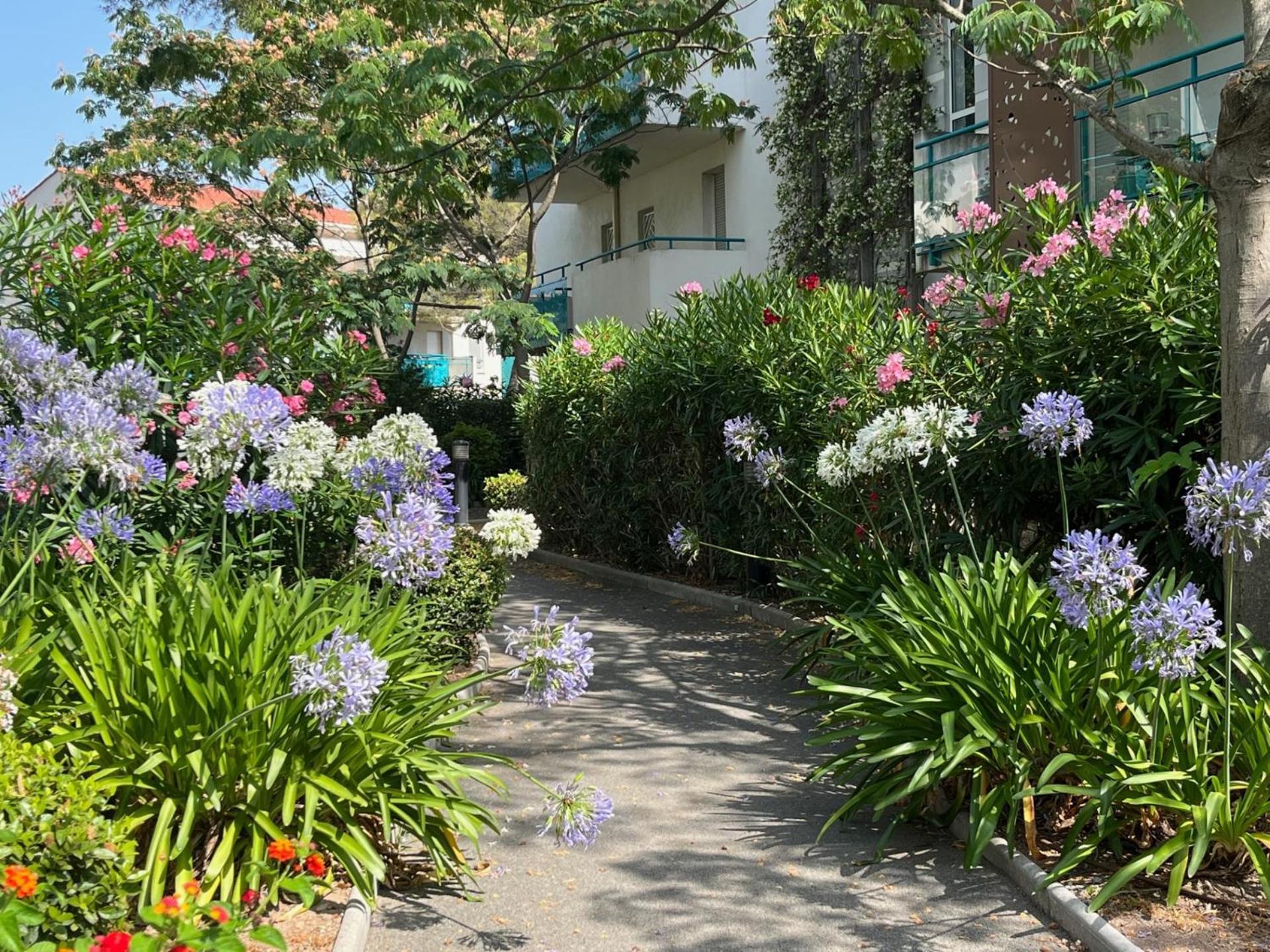 Saint-raphael, Boulouris, F2 Dans Belle 3 Piscines, Proche Bord De Apartment
